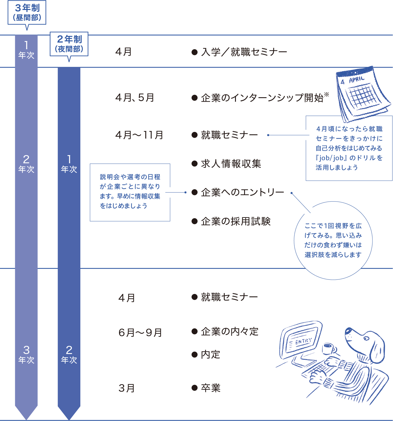 桑沢生の就活スケジュール